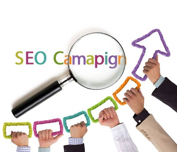 SEO Campaign